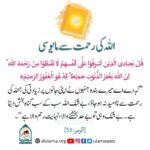 Read more about the article اللہ کی رحمت سے مایوسی