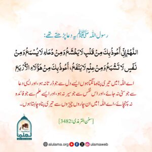 Read more about the article رسول اللہ ﷺ یہ دعا پڑھتے تھے