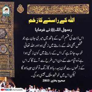 Read more about the article اللہ کے راستے کا زخم