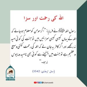 Read more about the article اللہ کی رحمت اور سزا