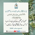 Read more about the article حضرت عثمان رضی اللہ عنہ سے اللہ کے رسول بھی حیا کرتے تھے