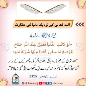 Read more about the article اللہ تعالی کے نزدیک دنیا کی حقارت