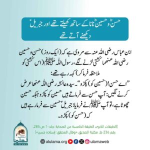 Read more about the article حسن و حسین رضی اللہ عنھما نانا کے ساتھ کھیلتے تھے