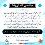 Read more about the article جنت میں اللہ کی رضا