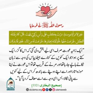 Read more about the article ایک کتے کو پانی پلانے پر اللہ نے زانیہ کو معاف کر دیا