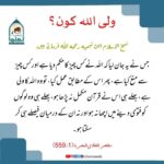 Read more about the article ولی اللہ کون