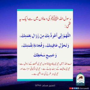 Read more about the article رسول کریم ﷺ کی دعاؤں میں سے ایک یہ تھی