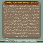 Read more about the article شیخ الحدیث مولانا علی محمد سعیدی رحمہ اللہ