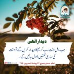 Read more about the article دیدار الہی