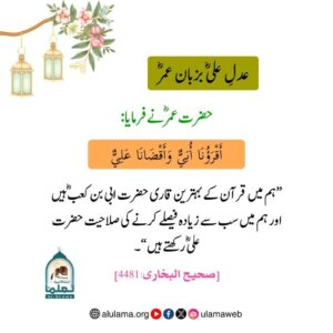 Read more about the article عدل علی بزبان عمر رضی اللہ عنھما