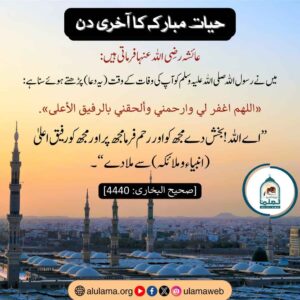 Read more about the article حیات مبارکہ کا آخری دن