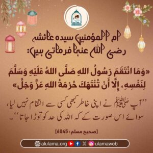 Read more about the article آپ ﷺ نے اپنی خاطر کبھی کسی سے انتقام نہیں لیا