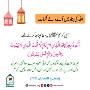 Read more about the article اللہ کی پناہ میں آنے والے کلمات