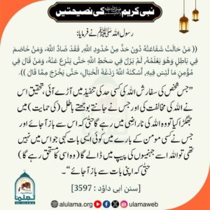 Read more about the article نبی کریم ﷺ کی نصیحتیں