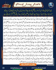 Read more about the article جانور کی پرورش اور منافع