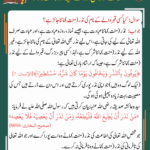 Read more about the article اللہ کے علاوہ کسی اور کے لیے نذر (منت) ماننا