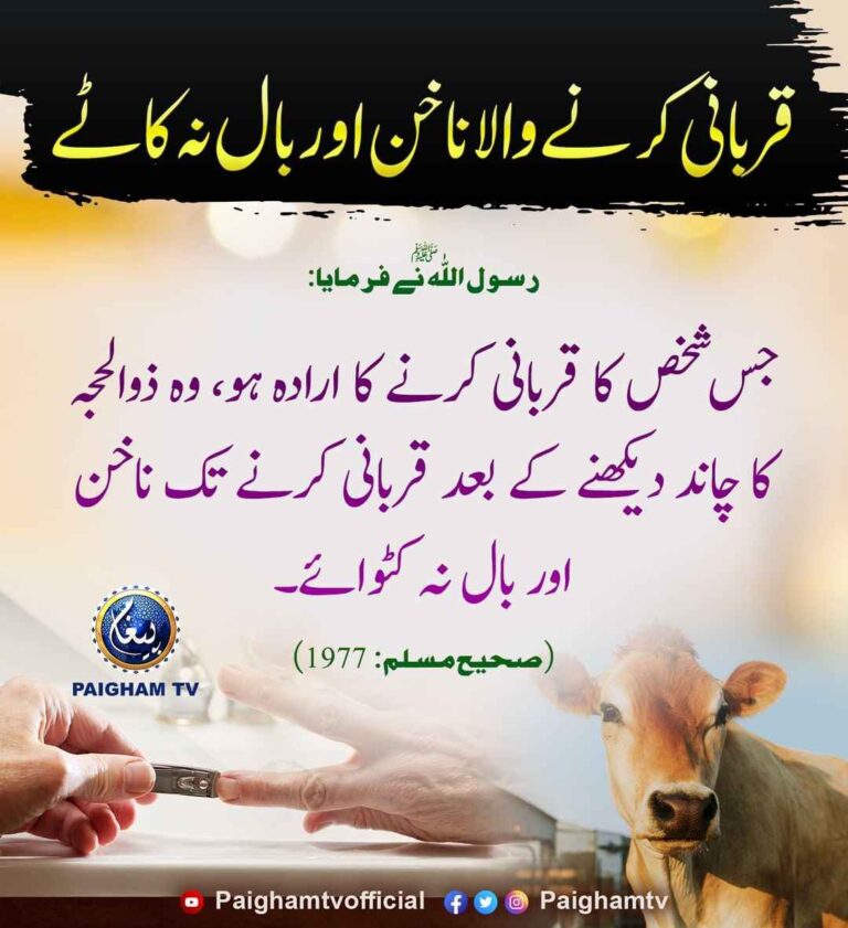 قربانی کرنے والا ناخن اور بال نہ کاٹے - محدث گرافکس لائبریری