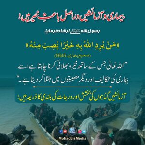 WhatsApp Image 2025 09 13 at 11.29.53 38c14dbc 50 11zon