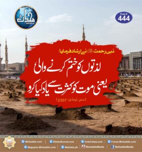 117839693 993249384440859 4217353147444440212 n 39 11zon