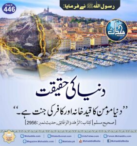 118193734 995525384213259 2285010443906979027 n 49 11zon