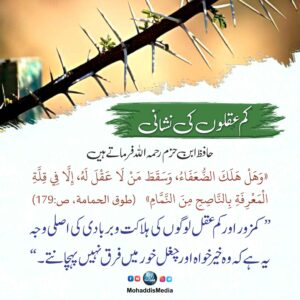 کم عقلوں کی نشانی