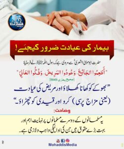 490929843 1124464013030116 7212683860481779935 n 13 11zon