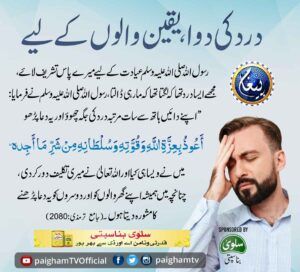 565730320 1224974269663630 8308318777321002901 n 4 11zon