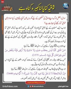 شوقیہ کتا پالنا کبیرہ گناہ ہے