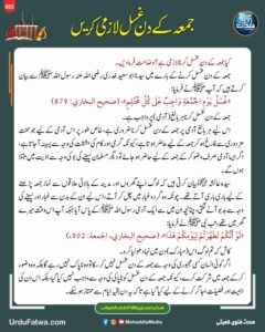 581830558 1304102335066282 5879504344291392701 n 12 11zon