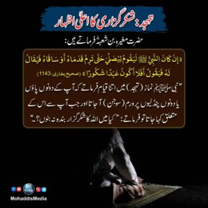 585345995 1307379081405274 1467826924111134412 n 18 11zon