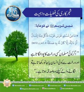 80994506 824671034632029 910556177971019776 n 9 11zon