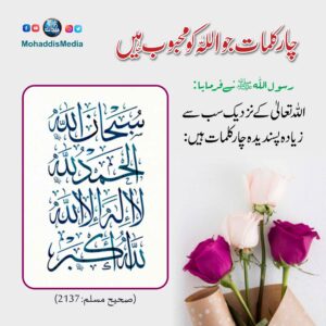 WhatsApp Image 2025 10 23 at 14.52.37 9ffcabd3 46 11zon