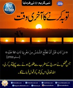 82416910 841912839574515 1400180031648432128 n 28 11zon