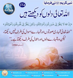 82878494 847434259022373 2460536027429732352 n 33 11zon