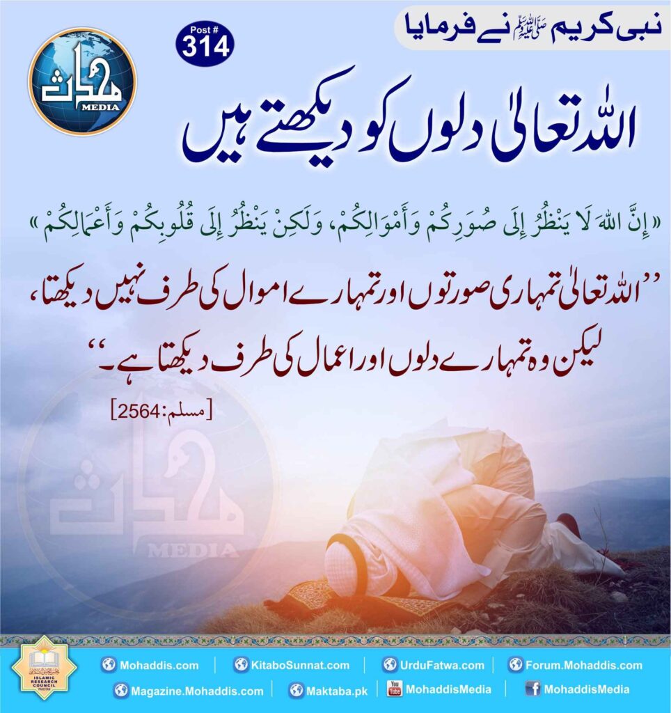 82878494 847434259022373 2460536027429732352 n 33 11zon