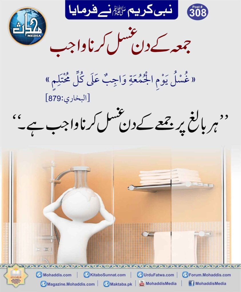 82965095 841801536252312 1618388078504706048 n 34 11zon