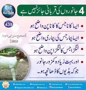 چار جانوروں کی قربانی جائز نہیں ہے