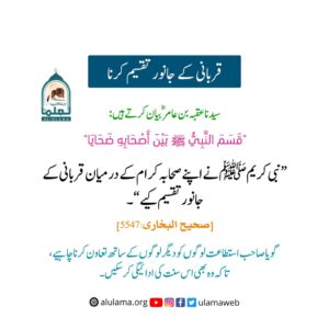 قربانی کے جانور تقسیم کرنا