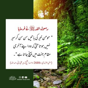 مومن خیر کی باتوں کا کتنا حریص ہوتا ہے