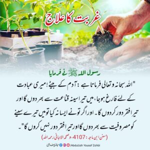 عربت کا علاج
