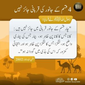 چار قسم کے جانور کی قربانی جائز نہیں