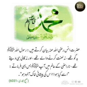 رسول اللہ ﷺ کا اخلاق عالی