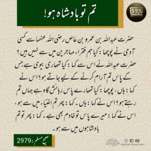 تم تو بادشاہ ہو