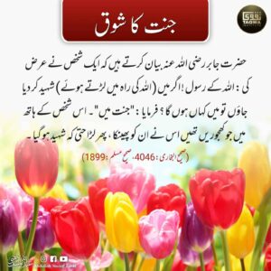 جنت کا شوق