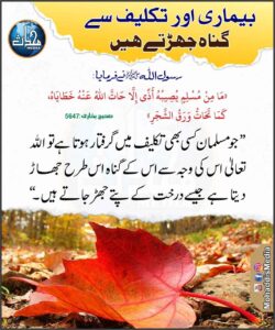 بیماری اور تکلیف سے گناہ جھڑتے ہیں
