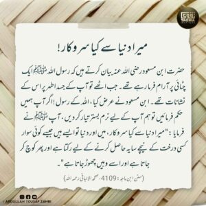 میرا دنیا سے کیا سروکار