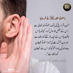 مرغ اور گدھے کی آواز سننے پر کیا کہیں