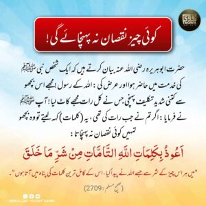 کوئی چیز نقصان نہ پہنچائے گی