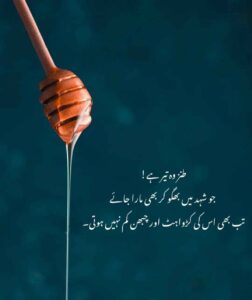 طنز وہ تیر ہے