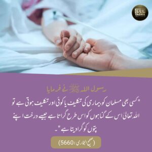 مسلمان کے بیماری میں گناہ جھڑ جاتے ہیں
